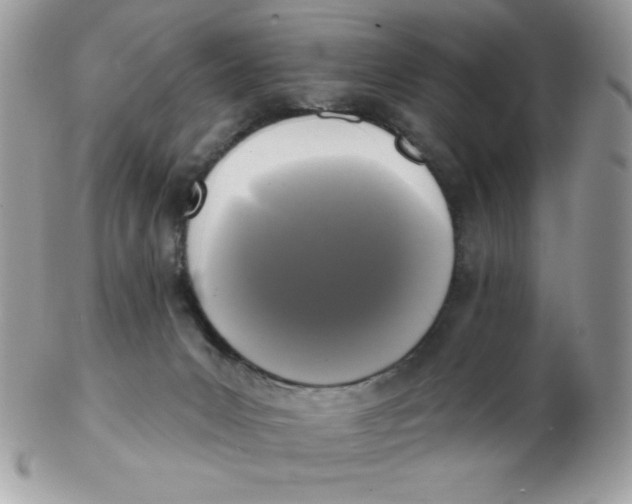 X0000102410031200808221921