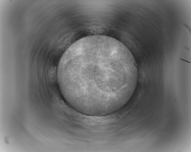 X0000102410034200808221921