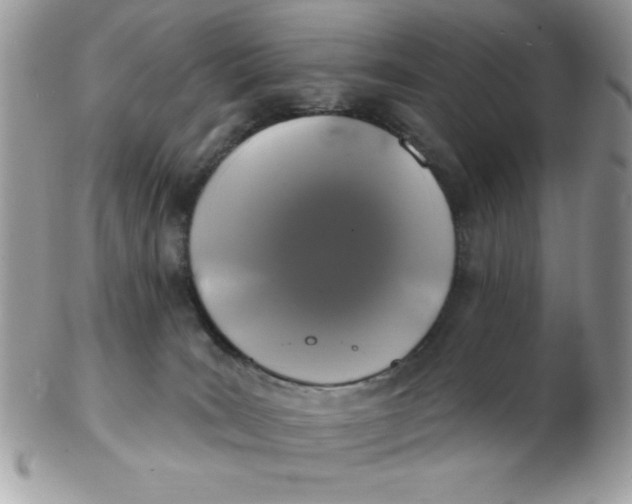 X0000102410035200808221921