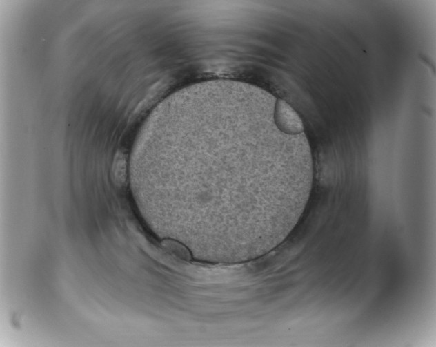 X0000102410036200808221921