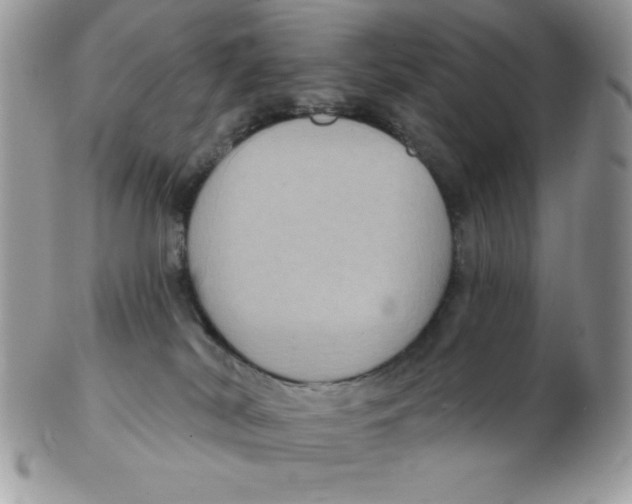 X0000102410038200808221921