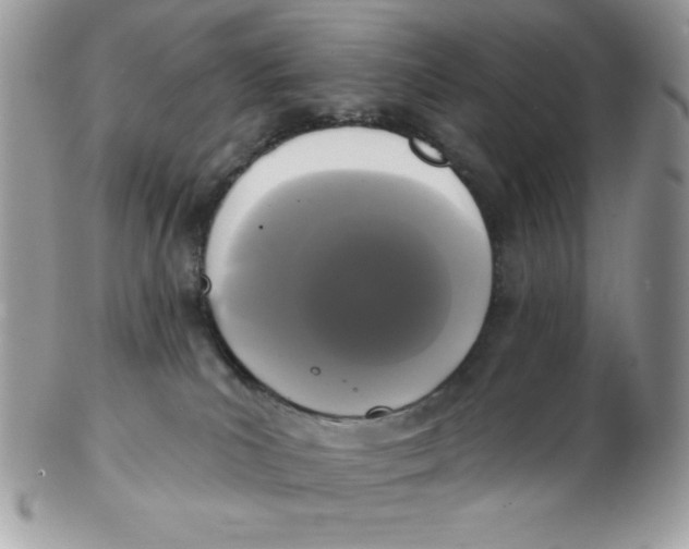 X0000102410039200808221921