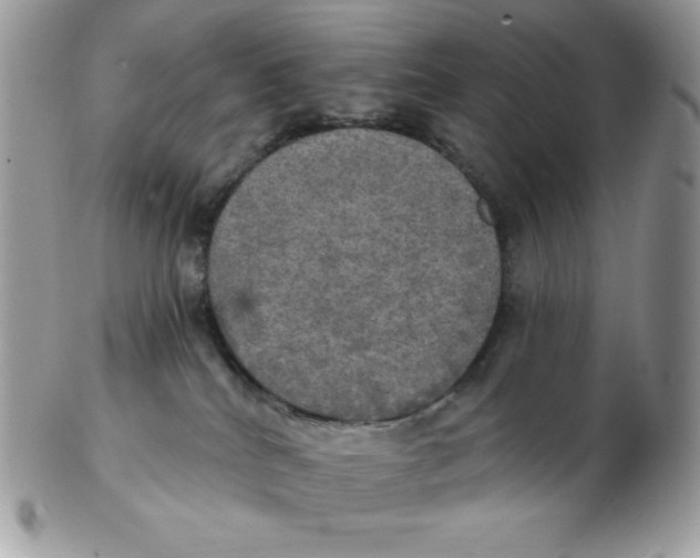 X0000102410040200808221921