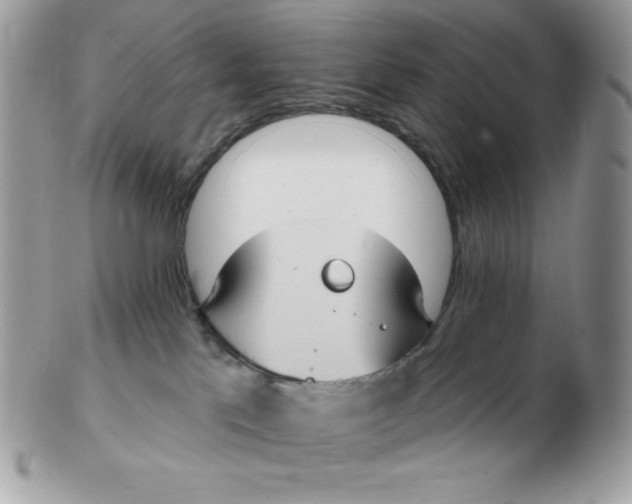 X0000102410041200808221921