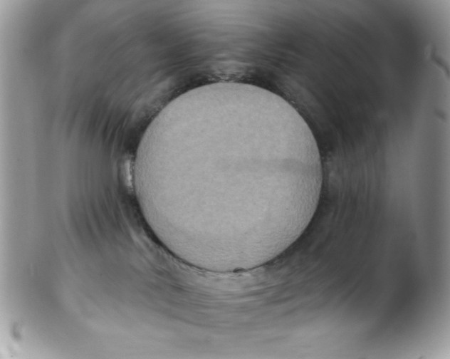 X0000102410042200808221921