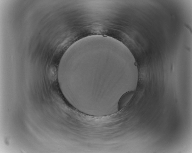 X0000102410043200808221921