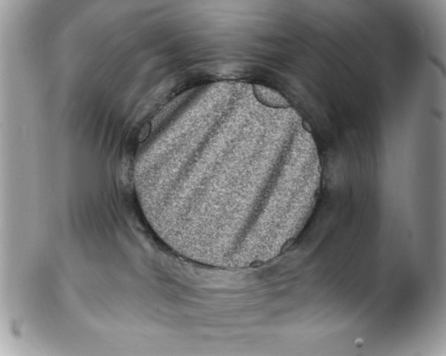 X0000102410044200808221921