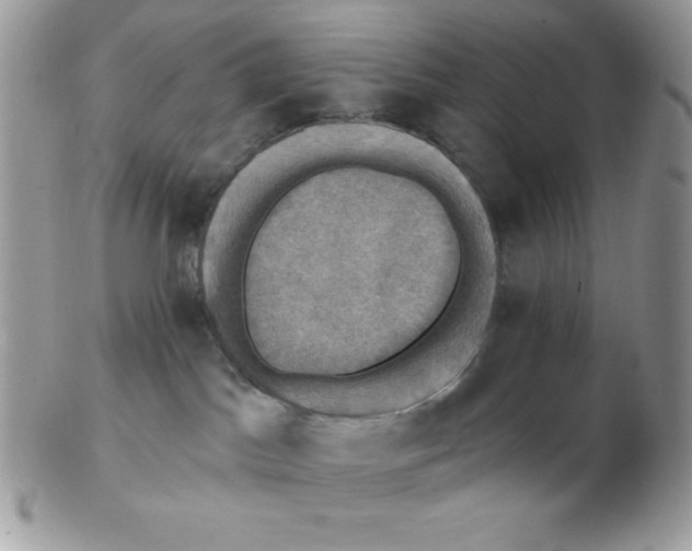 X0000102410045200808221921