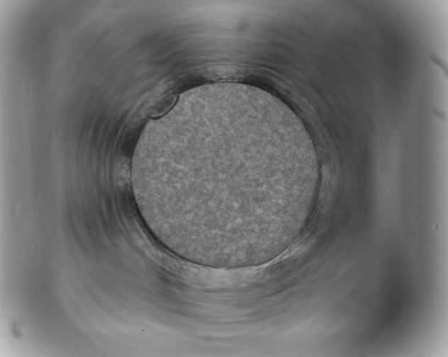 X0000102410048200808221921