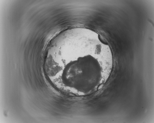 X0000102410049200808221920