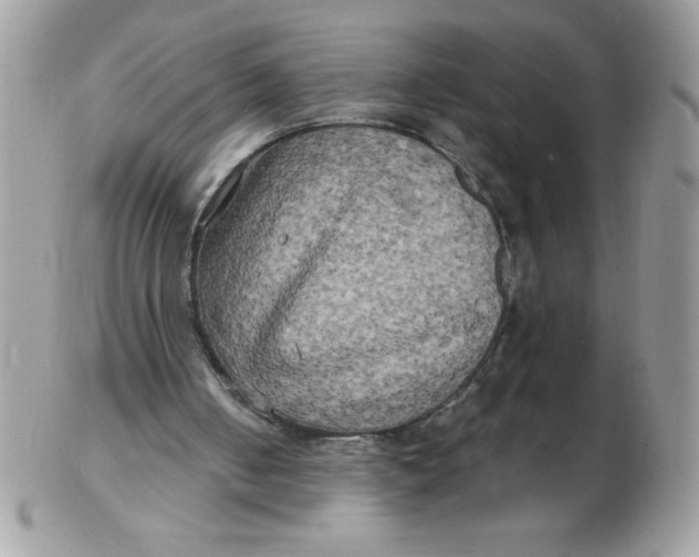 X0000102410050200808221920