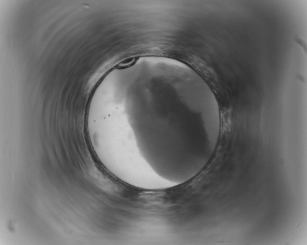 X0000102410051200808221920