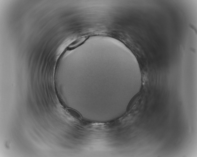 X0000102410052200808221920