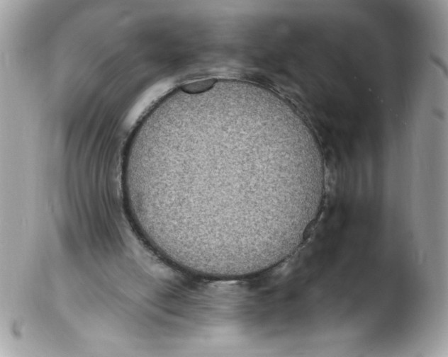 X0000102410054200808221920