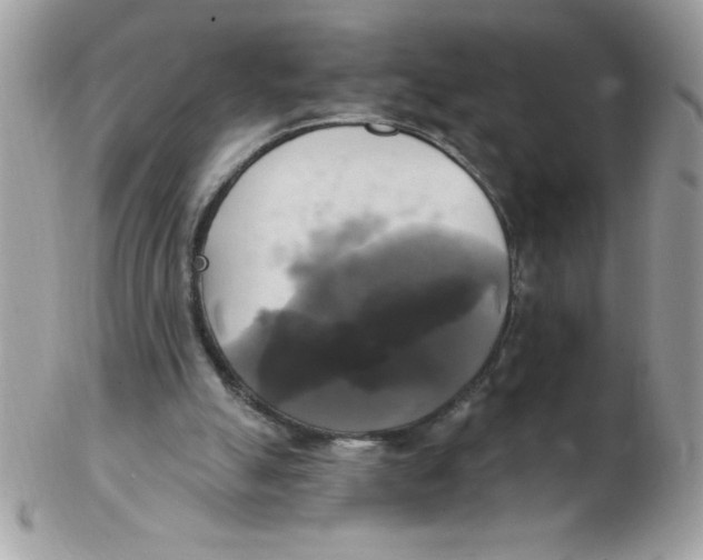 X0000102410055200808221920