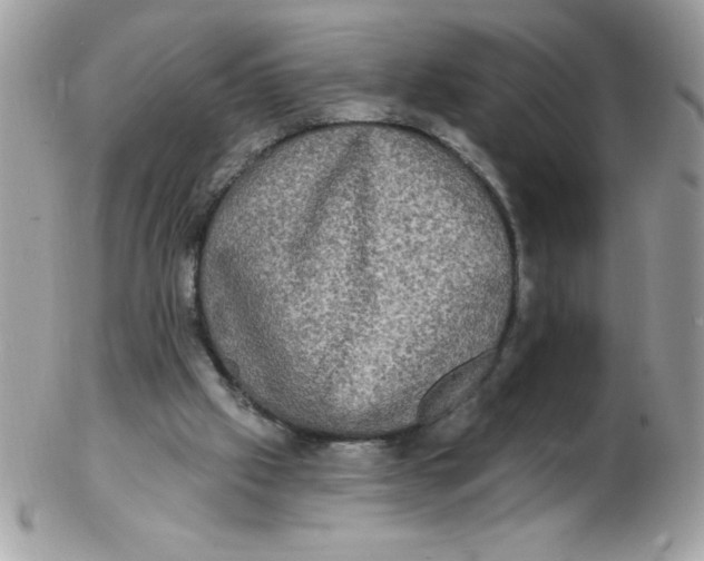 X0000102410057200808221920