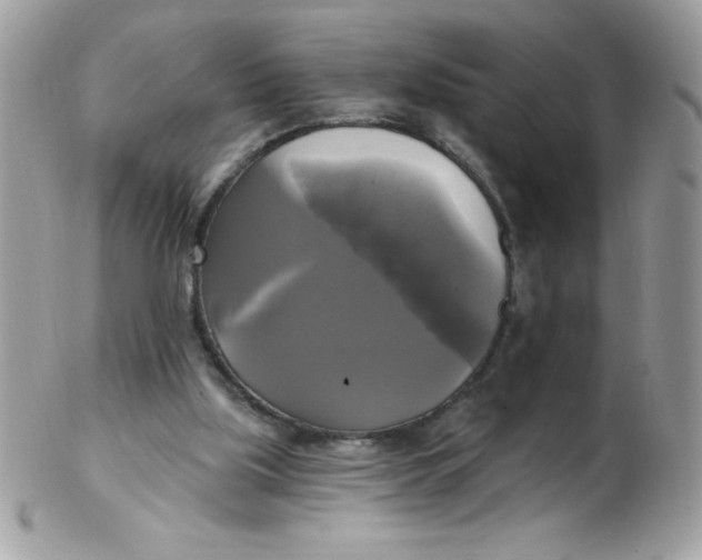 X0000102410059200808221920