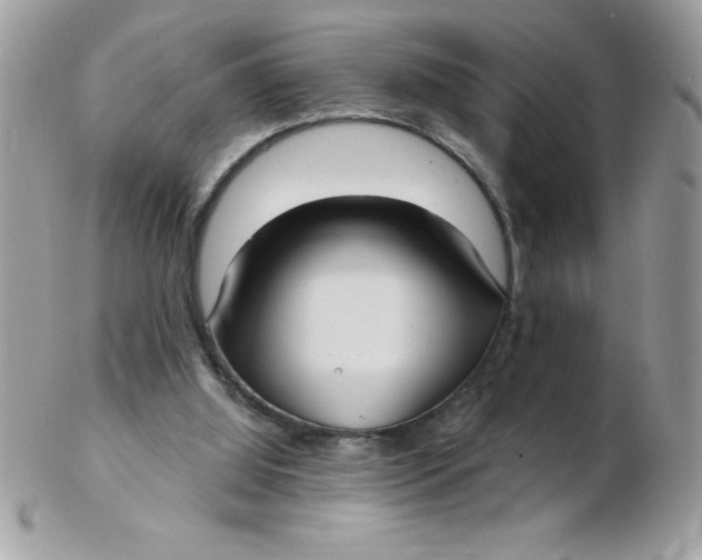 X0000102410060200808221920