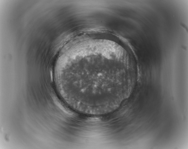 X0000102410061200808221920