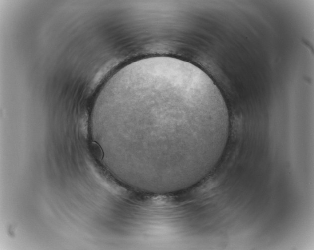 X0000102410064200808221920