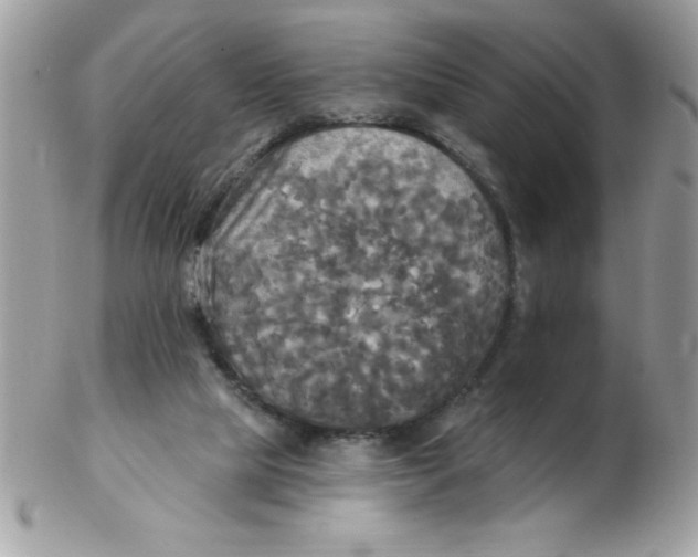 X0000102410065200808221920