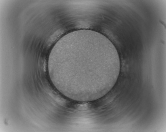 X0000102410068200808221920