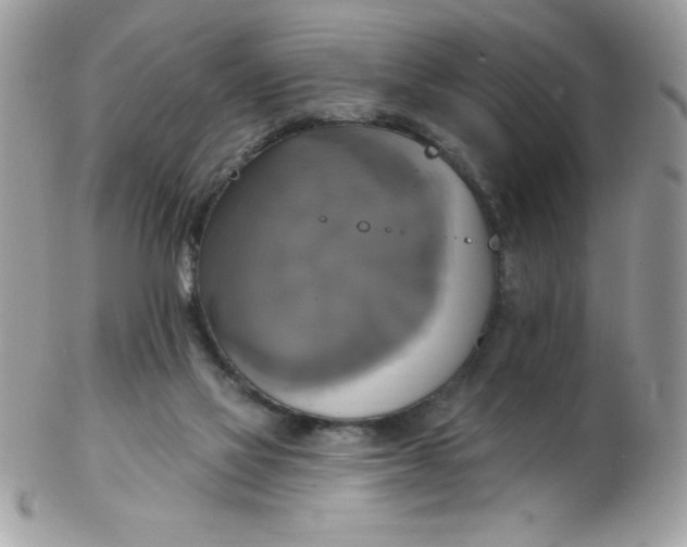 X0000102410069200808221921