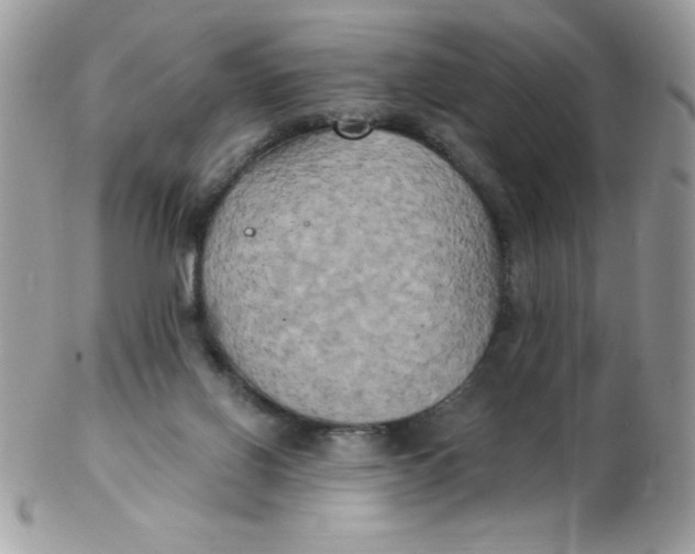 X0000102410070200808221921