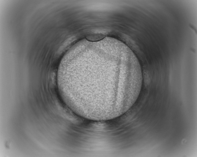 X0000102410071200808221921