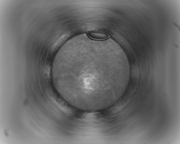 X0000102410072200808221921