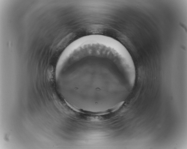 X0000102410073200808221921