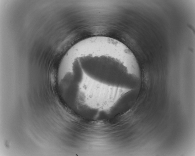 X0000102410074200808221921