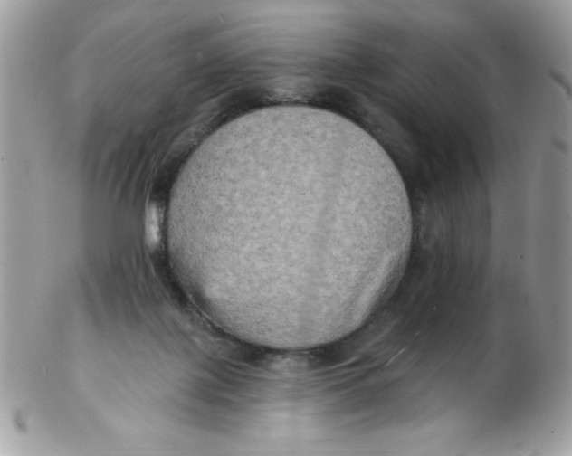 X0000102410075200808221921