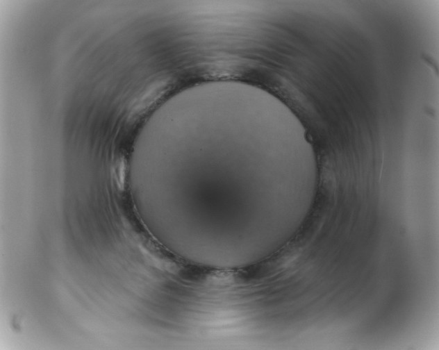 X0000102410076200808221921