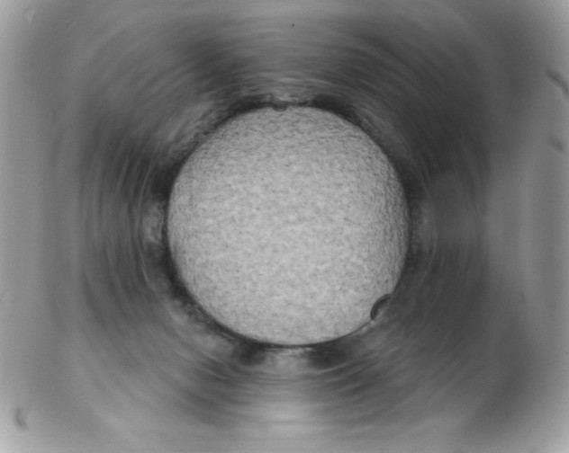 X0000102410078200808221921