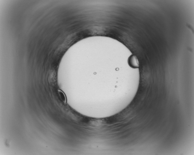 X0000102410079200808221921