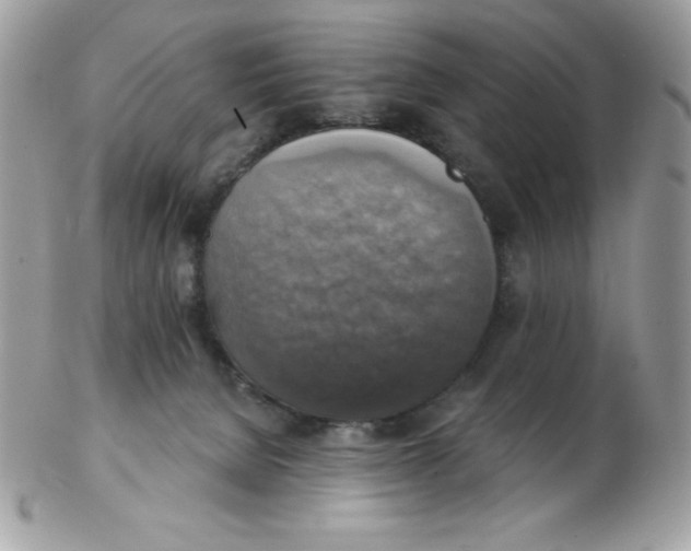 X0000102410080200808221921