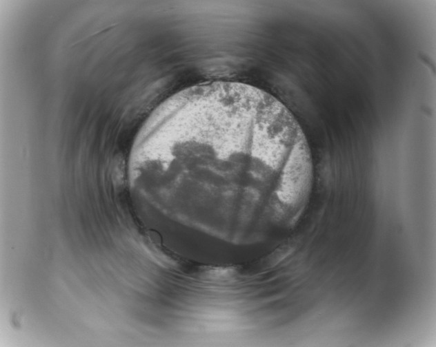 X0000102410081200808221921