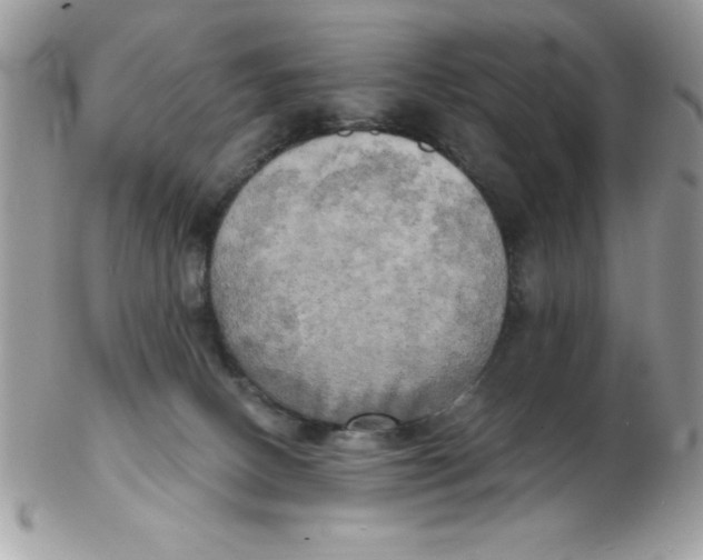 X0000102410082200808221921