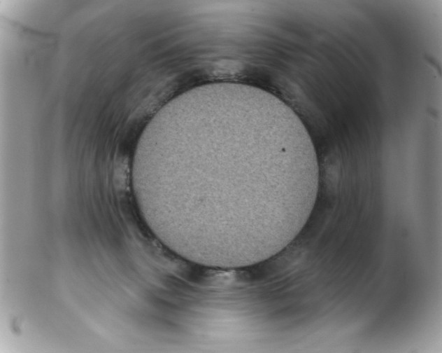 X0000102410083200808221921