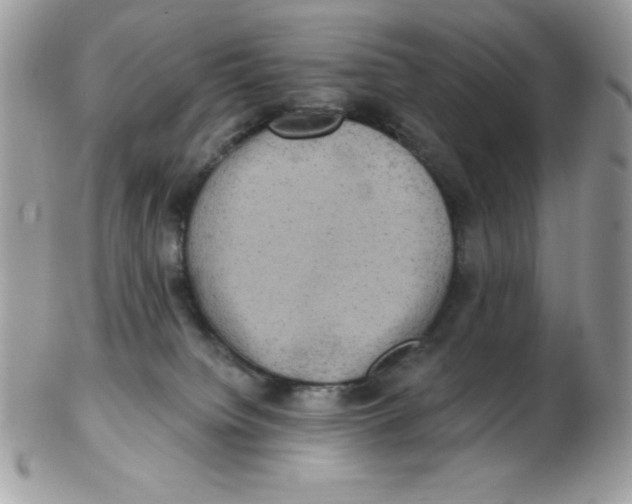 X0000102410084200808221921