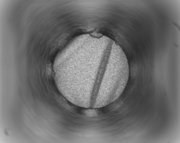 X0000102410085200808221921