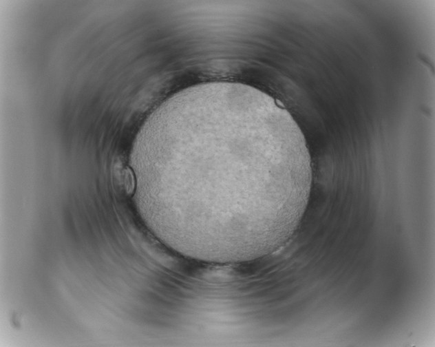 X0000102410086200808221921