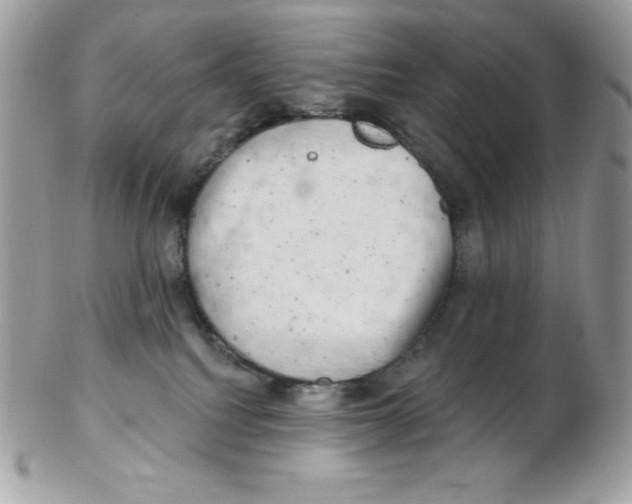 X0000102410088200808221921