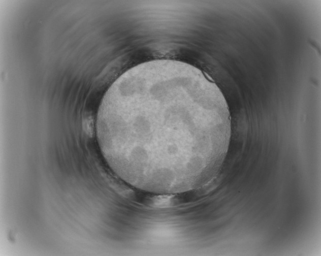 X0000102410090200808221921