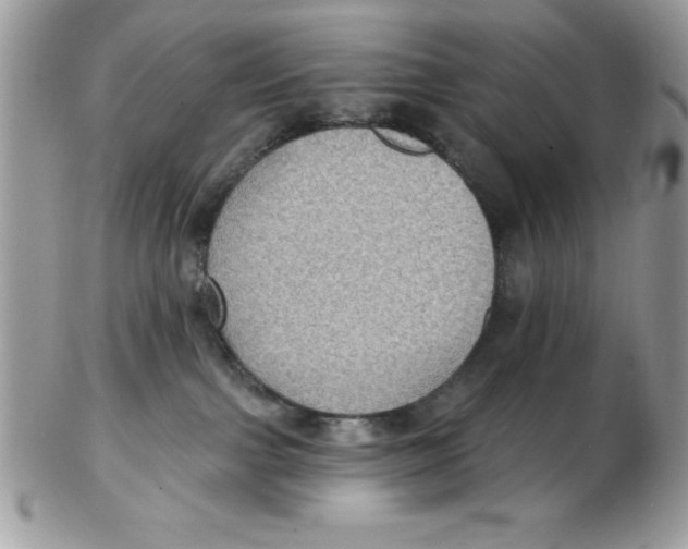 X0000102410091200808221921