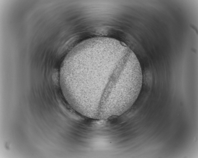 X0000102410092200808221921