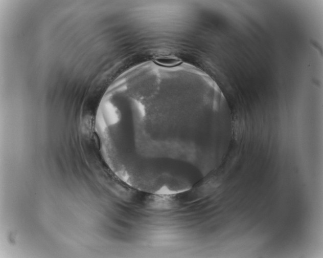 X0000102410093200808221921