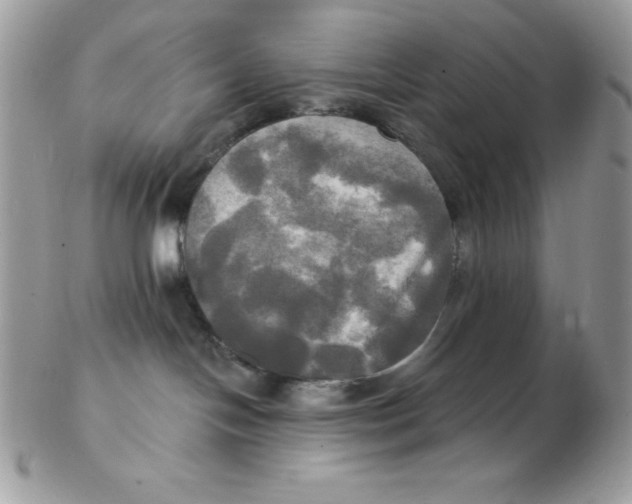 X0000102410094200808221921