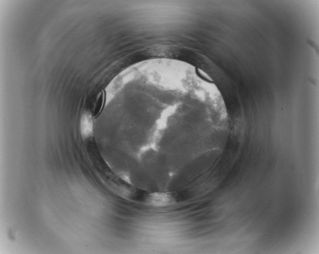 X0000102410095200808221921